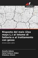 Risposta del mais (Zea mays L.) al letame di fattoria e al trattamento con gesso