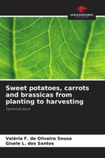Sweet potatoes, carrots and brassicas from planting to harvesting
