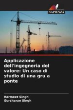 Applicazione dell'ingegneria del valore: Un caso di studio di una gru a ponte
