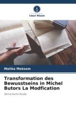 Transformation des Bewusstseins in Michel Butors La Modfication