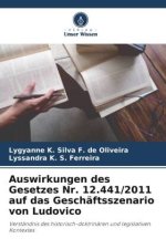 Auswirkungen des Gesetzes Nr. 12.441/2011 auf das Geschäftsszenario von Ludovico