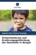 Sicherheitskrise und Ernährungsgefährdung der Haushalte in Bangui