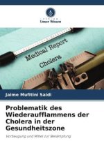 Problematik des Wiederaufflammens der Cholera in der Gesundheitszone