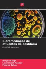 Bioremediaç?o de efluentes de destilaria