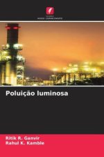 Poluiç?o luminosa