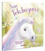 Son Unicorn Tekboynuz