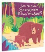 Seni Ne Kadar Seviyorum Biliyor Musun