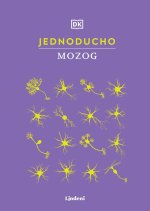 Jednoducho - Mozog