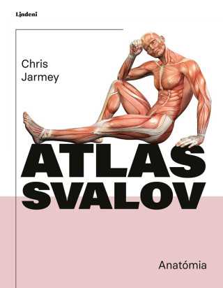 Atlas svalov - anatďż˝mia