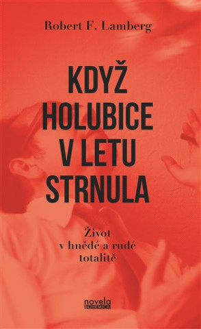 Když holubice v letu strnula