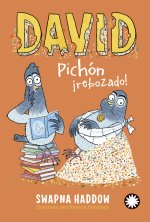 DAVID PICHON, IREBOZADO!