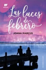 LAS LUCES DE FEBRERO MESES A TU LADO 4