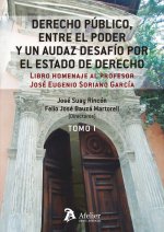 DERECHO PUBLICO ENTRE EL PODER Y UN AUDAZ DESAFIO POR ESTAD