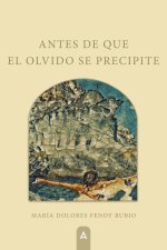 Antes de que el olvido se precipite