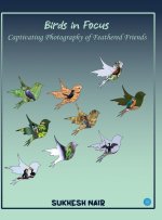 Birds in Focus Captivating Photography of Feathered Friends