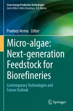 Micro-Algae: Next-Generation Feedstock for Biorefineries: Contemporary Technologies and Future Outlook