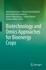 Biotechnology and Omics Approaches for Bioenergy Crops