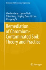 Remediation of Chromium-Contaminated Soil:  Theory and Practice