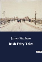 Irish Fairy Tales