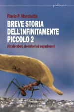 Breve storia dell'infinitamente piccolo