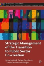 Strategic Management of the Transition