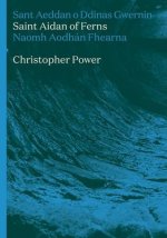 St Aidan of Ferns: Volume 3