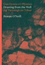 Drawing from the Well: Volume 5