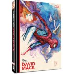 The Marvel Art of David Mack