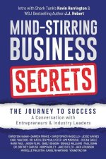 Mind-Stirring Business Secrets: The Journey to Success: A Conversation with Entrepreneurs & Industry Leaders