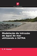 Modelaç?o da intrus?o de água do mar utilizando o SUTRA