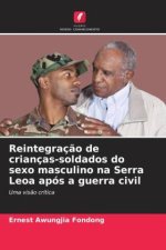 Reintegraç?o de crianças-soldados do sexo masculino na Serra Leoa após a guerra civil