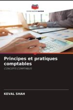 Principes et pratiques comptables