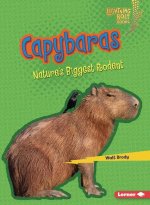 Capybaras: Nature's Biggest Rodent