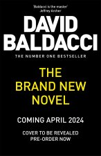 Untitled Baldacci Standalone