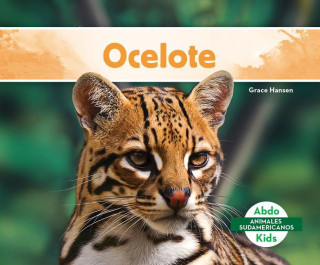 Ocelote