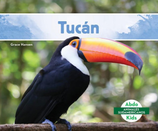 Tucán