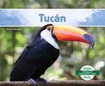 Tucán