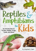 Reptiles & Amphibians for Kids: An Introduction to Turtles, Snakes, Frogs and Toads, and More