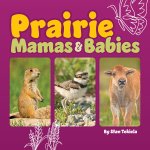 Prairie Mamas and Babies