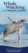Whale Watching on the Pacific Coast: Easily Identify Whales, Dolphins, and Other Marine Mammals