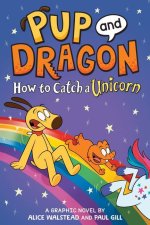 Pup and Dragon: How to Catch a Unicorn