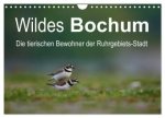 Wildes Bochum (Wandkalender 2024 DIN A4 quer), CALVENDO Monatskalender