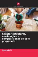 Caráter estrutural, morfológico e composicional do solo preparado
