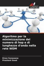 Algoritmo per la minimizzazione del numero di hop e di lunghezze d'onda nella rete WDM