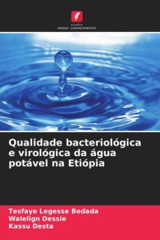 Qualidade bacteriológica e virológica da água potável na Etiópia