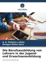 Die Berufsausbildung von Lehrern in der Jugend- und Erwachsenenbildung