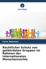 Rechtlicher Schutz von gefährdeten Gruppen im Rahmen der internationalen Menschenrechte