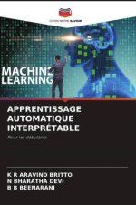 APPRENTISSAGE AUTOMATIQUE INTERPRÉTABLE