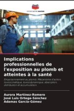 Implications professionnelles de l'exposition au plomb et atteintes ? la santé