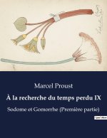 ? la recherche du temps perdu IX